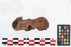 Foto von Eisenbuckel (NHMW-PRAE-026785)